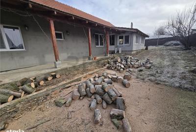 Casă cu 4 camere cu Teren 2088 Mp în Ianoșda - 17