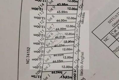 Teren intravilan Ciocanesti Cretu - 9282 mp divizat in 15 loturi - 4