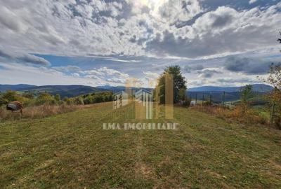 Teren de 40000 mp, în Central - 12