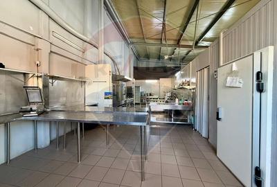 Ofertă de inchiriat spațiu industrial 110 mp, Brașov, Uzina 2 - 3