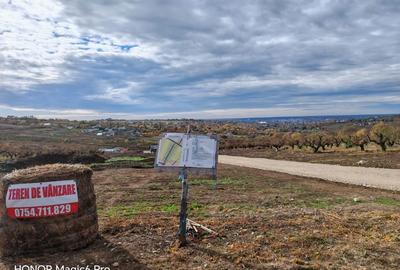 Spațiu comercial, în Săldăbagiu de Munte - 7