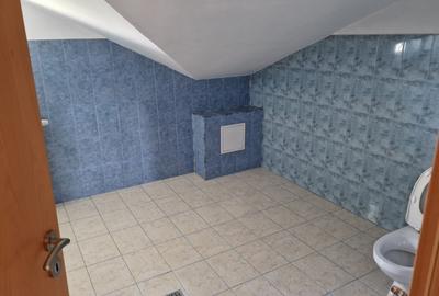 De Vanzare Casa Individuala Breazu - 24