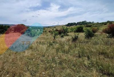 Teren intravilan 647 mp de vanzare in Borhanci - zona de urbanizare, PUZ in curs - 2