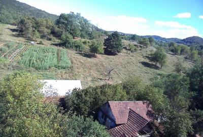 Teren intravilan cu potential, casa si anexe in Lunca - 14