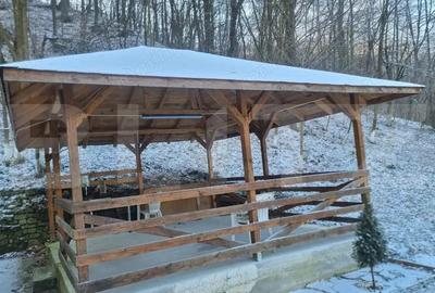 Casa si teren zona pitoreasca - 4