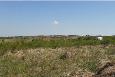 Spațiu comercial, în Central - 4