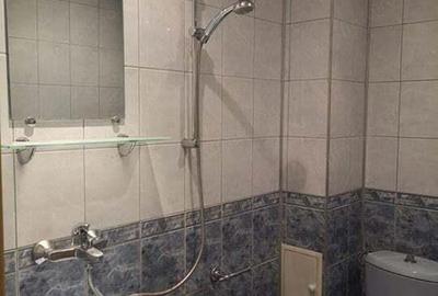 Apartament cu o camera in zona Take Ionescu Apartament cu o camera in zona Take Ionescu - 3