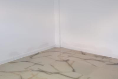 Sos. Fundeni, spatiu comercial stradal - 6