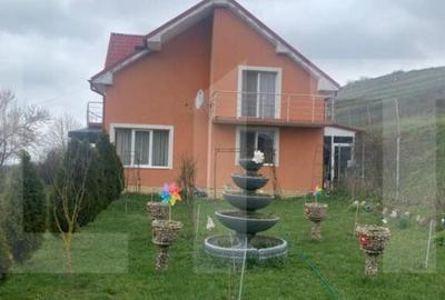 Casa la cheie, teren 2800 mp, Jucu de Sus Casa la cheie, teren 2800 mp, Jucu de Sus - 9