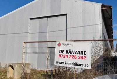 Sinesti -hala productie depozitare suprafata 1350 mp - 8