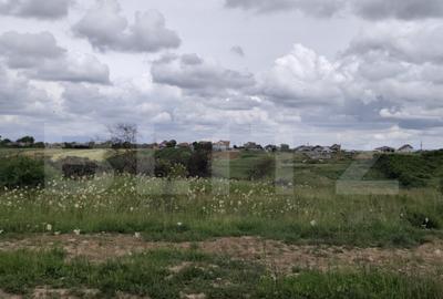 Teren intravilan in Cheriu foarte aproape de inelul metropol - 5