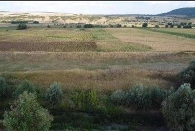 Teren Extravilan Banca, ID: R2805492 - 1