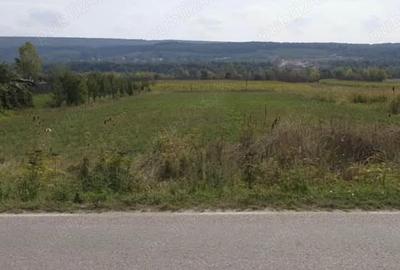 Teren de 1700 mp, în Bascov