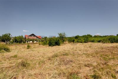 RECO Teren intravilan 1200 mp- front 30ml ,cu utilitati, Pa - 11