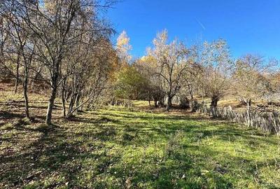 Teren 4044mp, 18 km de Campina, asfalt, utilitati, pretabil investitie - 3