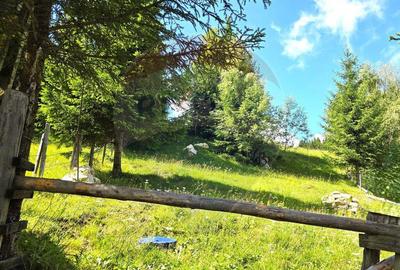 Teren de vis in Fundata 1934mp sau 3868mp, la inal?im... - 2