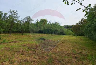 Casa cu teren 3100mp in Hidiselu de Sus - 8