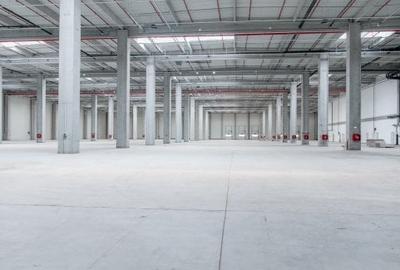 Spațiu industrial, 249500 mp în Chitila - 3