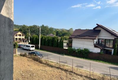 Constructie structura beton armat 810 MPC Curtea de Arges - 6