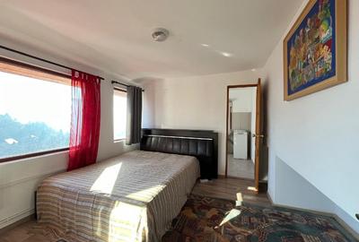 Garsonieră nedecomandată în Drumul Poienii - 2