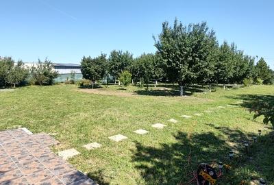 Cascioarele, Ulmi jud. Giurgiu, teren 1.200 mp + casuta de gradina si anexe - 10