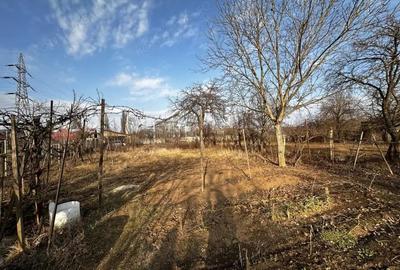 Casă cu 2 camere cu Teren 1242 Mp în Bărăbanț - 19