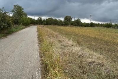 Teren în Vlad Țepeș - 3