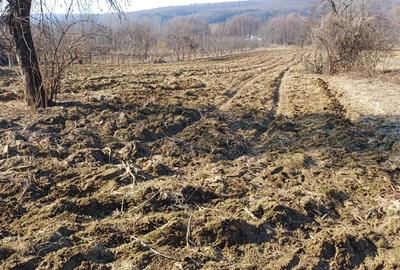 Teren agricol sat.Voroveni - 3