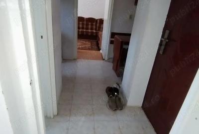 Apartament cu 3 camere semidecomandat în Bălan - 6