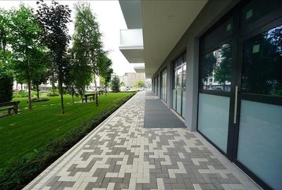 Spațiu comercial, de 208 mp, în Nufărul - 4