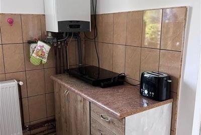 Casa in cadru armonios Casa in cadru armonios - 31