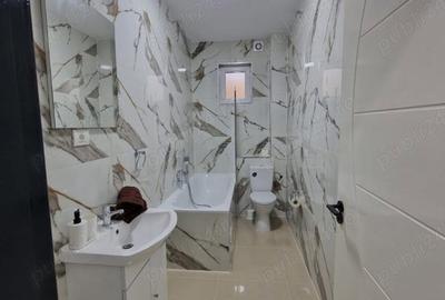 Apartament cu 2 camere decomandat în Beregsău Mare - 1