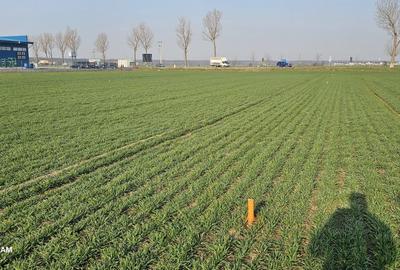 Teren de 2026 mp, în Exterior Vest - 1