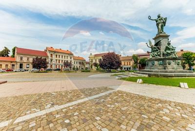 Apartament cu 1 camera la casa in zona ultracentrala - 6