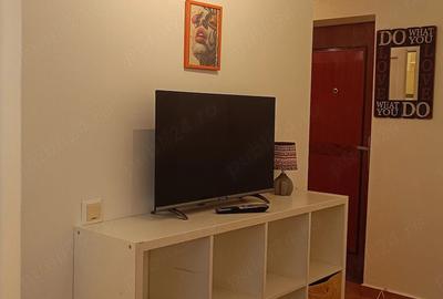 Garsonieră semidecomandată în Pantelimon - 8