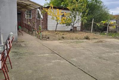 Casă cu 6 camere în Fibiș - 3