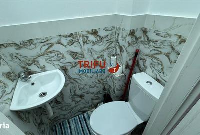 Apartament cu 3 camere în Ampoi 3 - 9