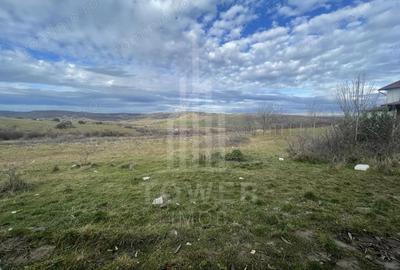 Teren de 1800 mp, în Roșia - 8