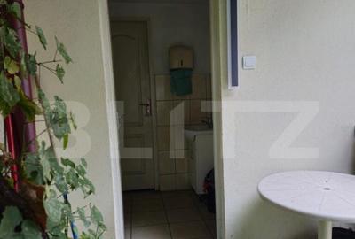 Spatiu comercial, 100 mp, terasa, Bld. Castanilor Spatiu comercial, 100 mp, terasa, Bld. Castanilor - 9