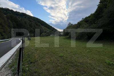 Casa 100 mp utili 4 camere 1,6 ha teren aproape de Trans Apuseana - 6