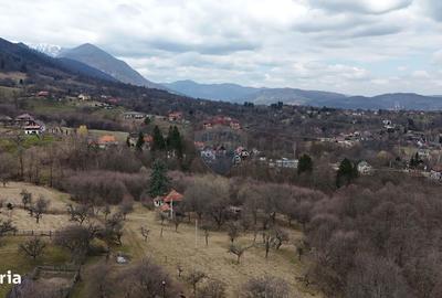 Teren de 24253 mp, în Bran - 18