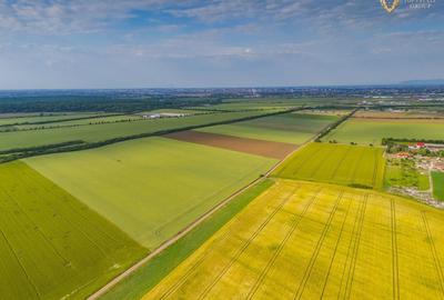 Teren agricol extravilan de 44900 mp, în Aradul Nou - 4