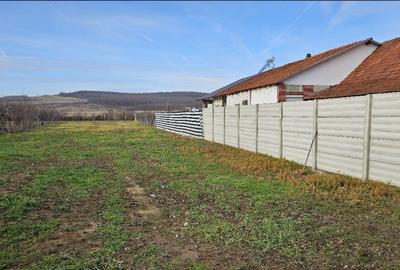 Teren intravilan (loc de casa), Com. Ineu Bihor 1186mp - 9