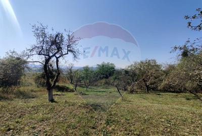 Teren de vanzare extravilan Ocolis - 8