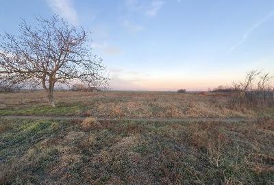 Spațiu comercial, în Cenad - 4