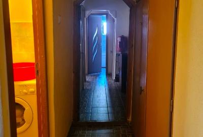 Apartament in Brezoi - 3 camere, 66,3 m² utili , parter – mobilat - 4