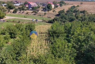 Teren de vanzare 1935 mp Piatra Neam? - Str. Plantelor - 2