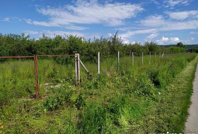 Teren de 10000 mp, în Băicoi - 4