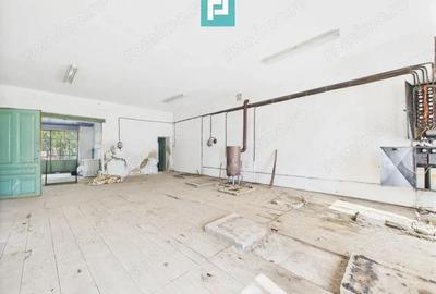 Cladire cu 5 camere cu teren ?i hala in Cenad - 6