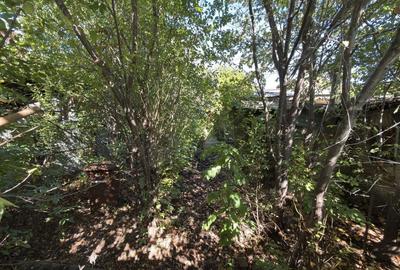 Teren de 240 mp, în Bucureștii Noi